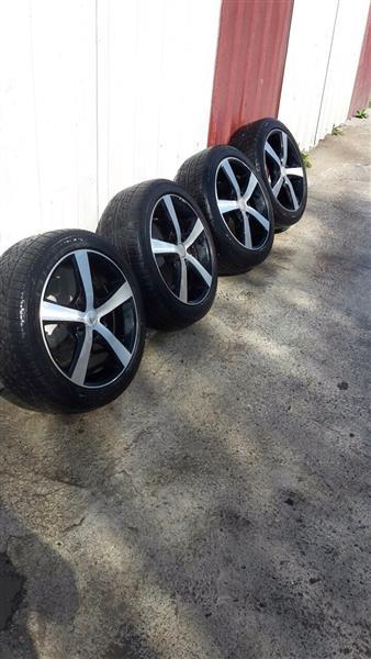 Fellne-