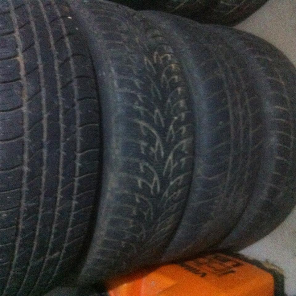 Bbs