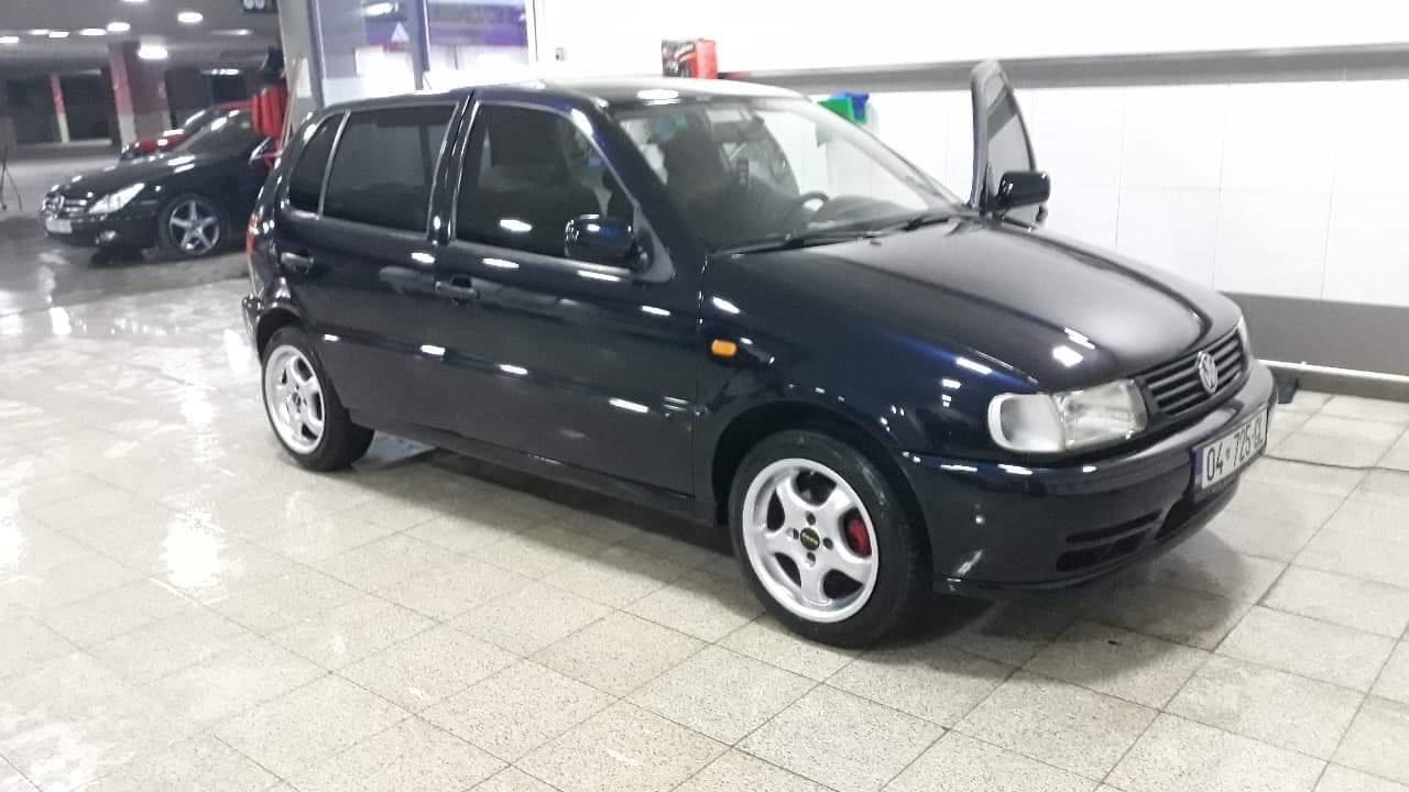 Polo