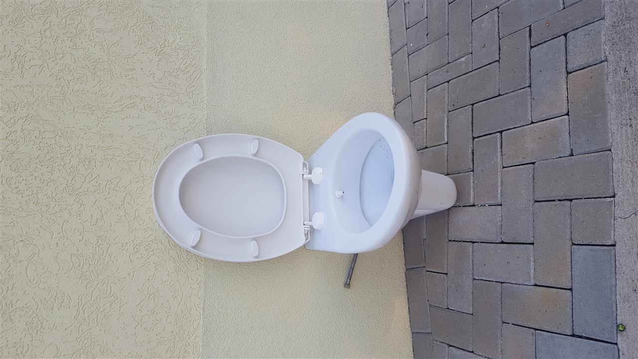 Shole-muri