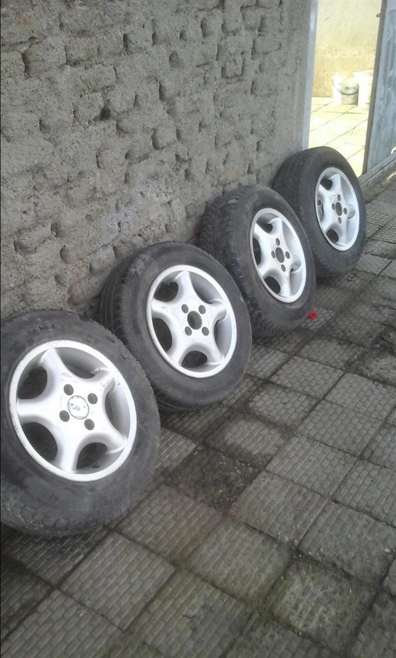Fellne13