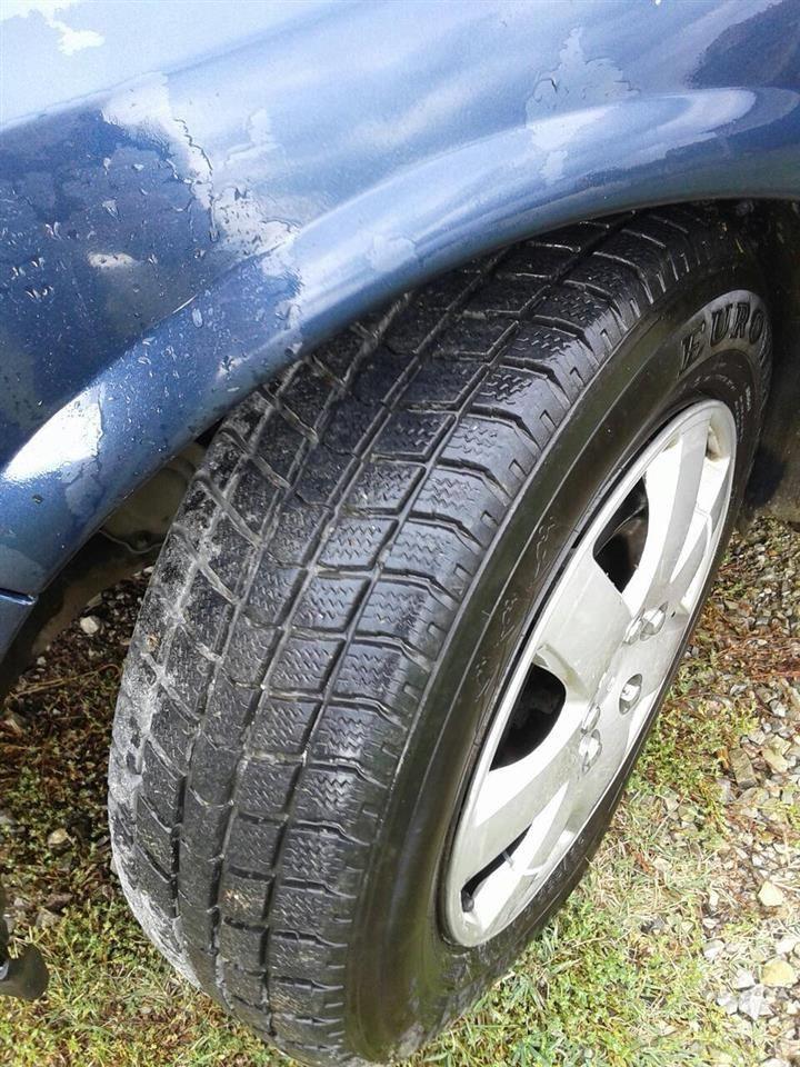 Shitet-Vectra