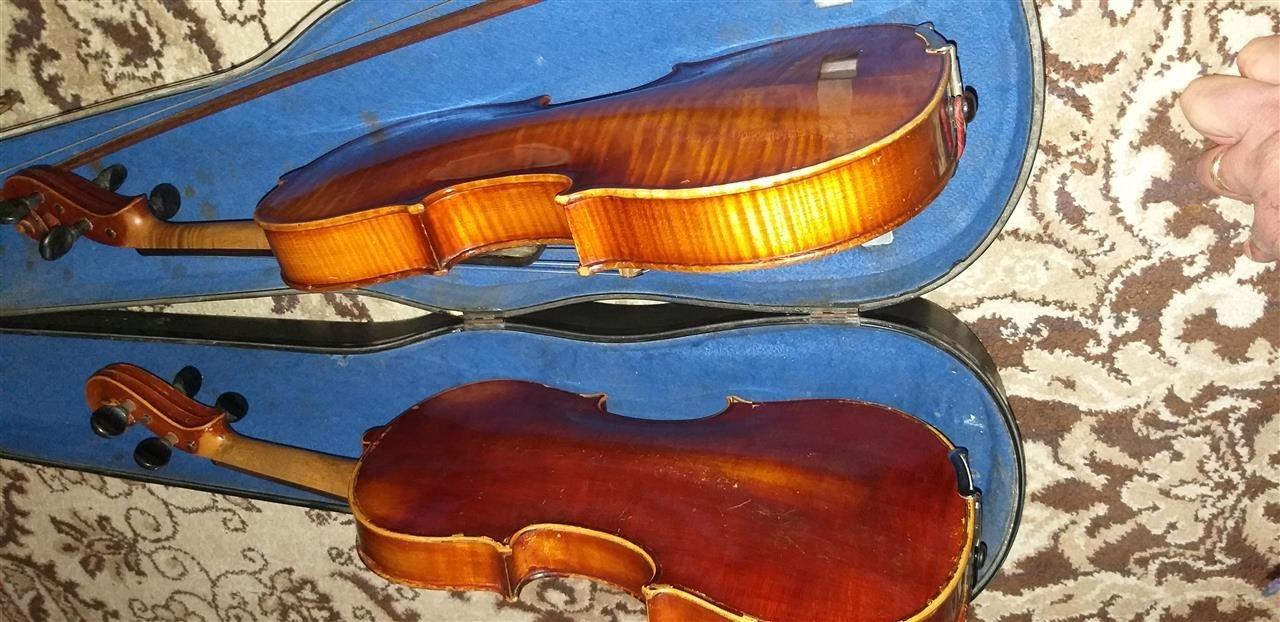 2-violina-te-vjetra