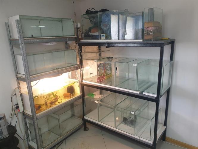 Akvarijum