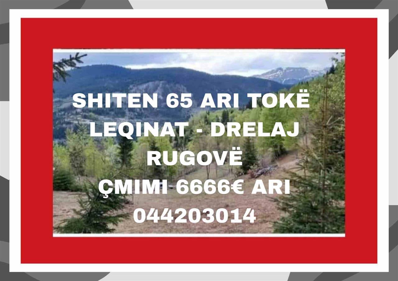 --SHITEN-65ari-tokë-në-fshatin-Drelaj--Leqinat-Rugovë