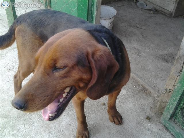 Zagar