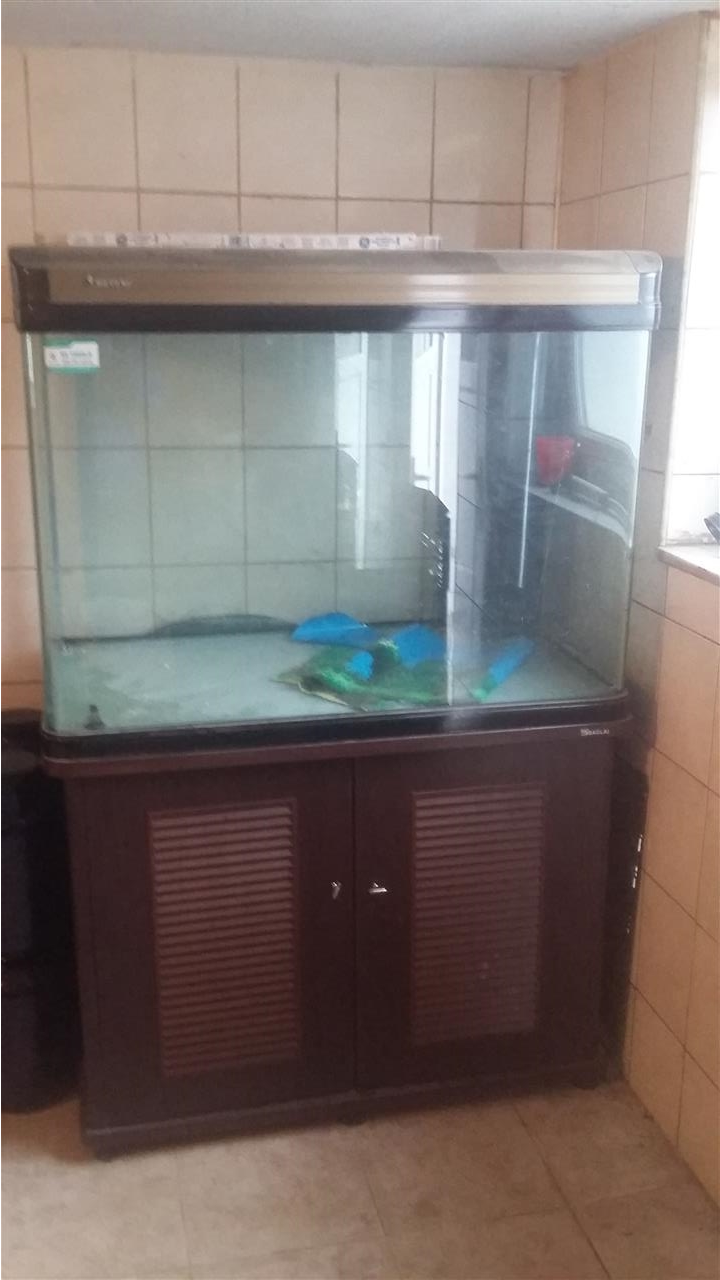 Akfarium