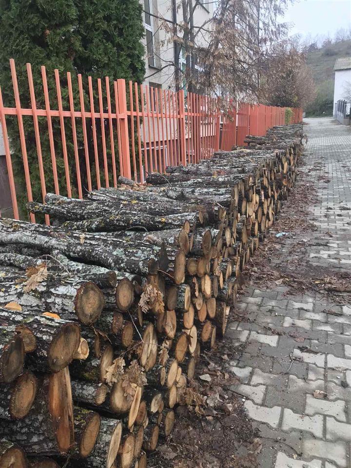 Shiten-drutë