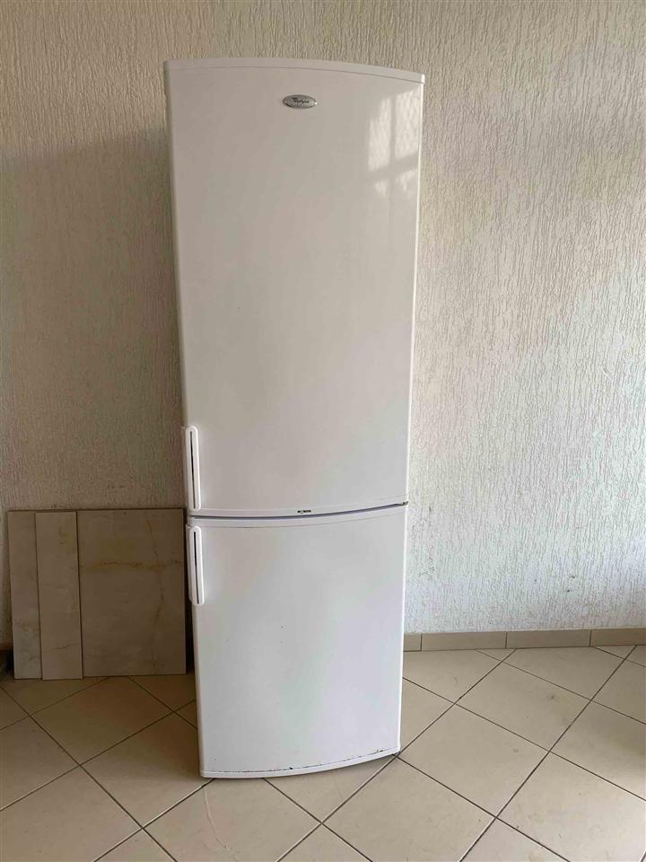 Frigorifer-Friz