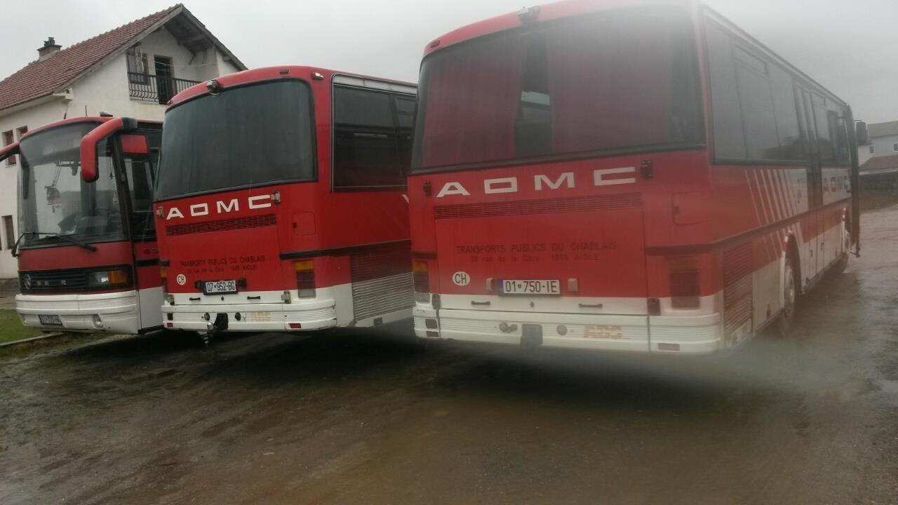 Setra-