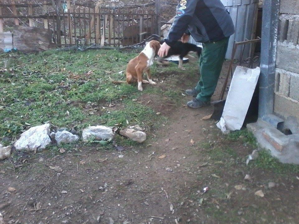 Zagar