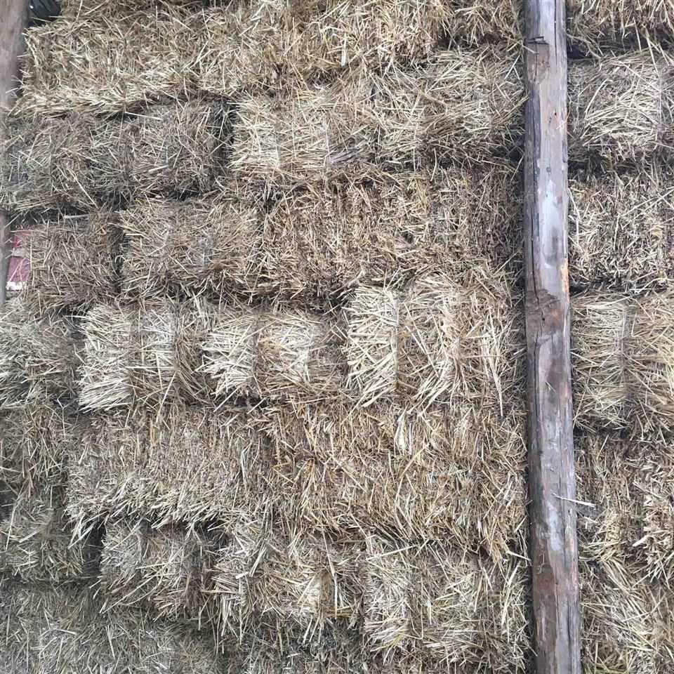 Kashtë