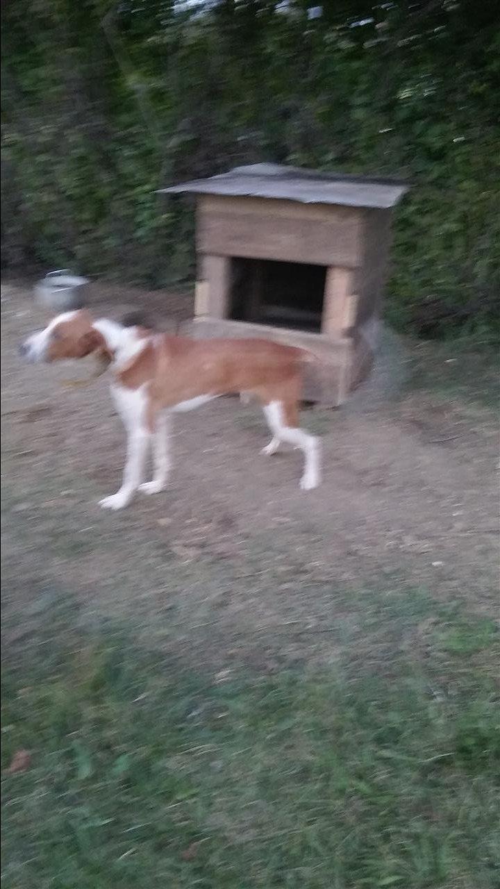 Zagar