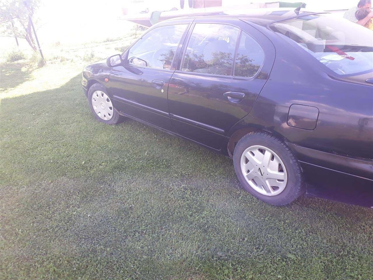 Primera