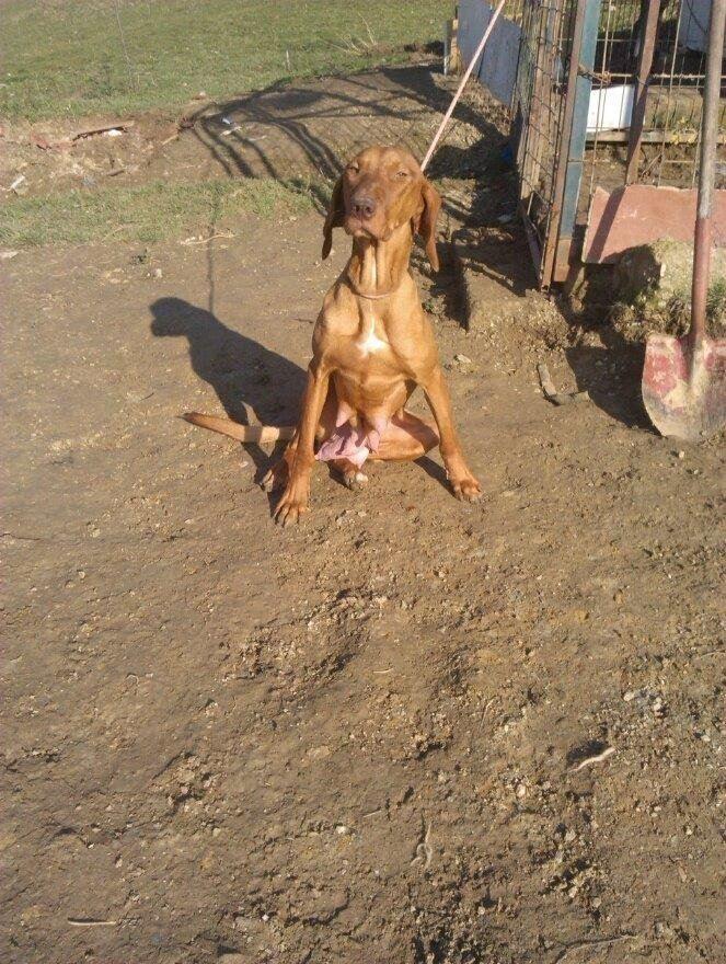 Zagar-