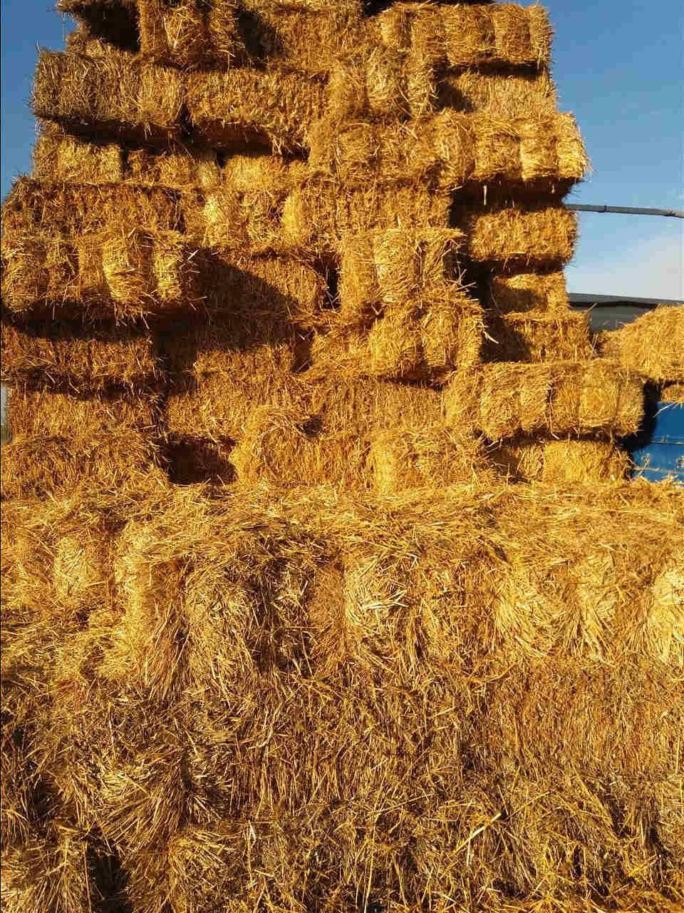 Kashtë