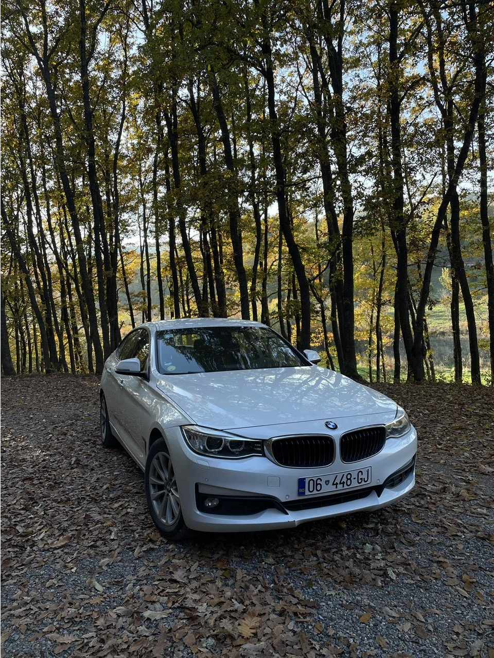 Bmw-GT-2015
