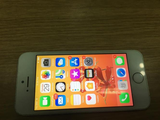 Shitet iphone 5s 