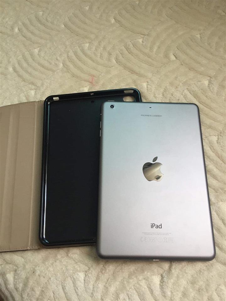 Ipad-mini-2-----U-shit-