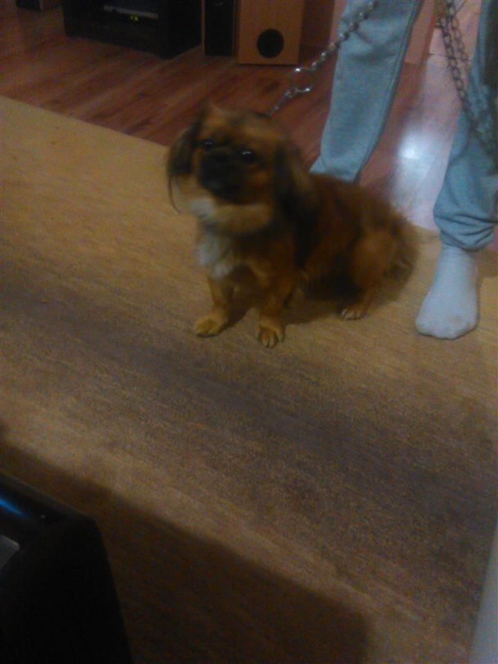 -pekinizer