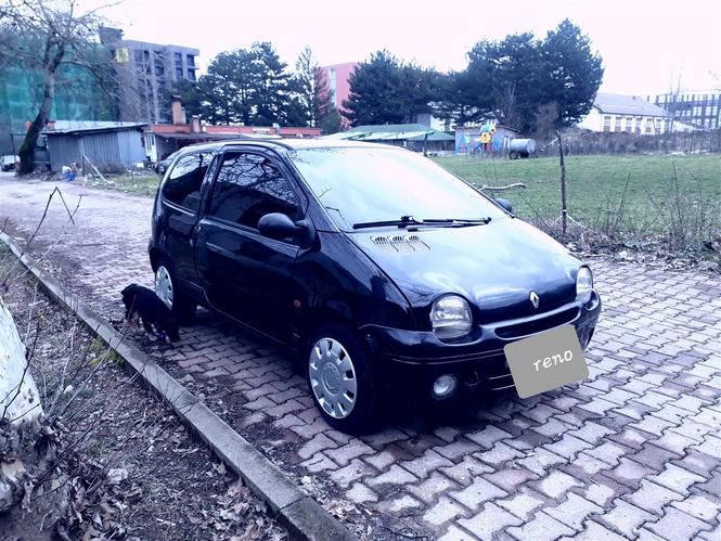 Reno twingo 