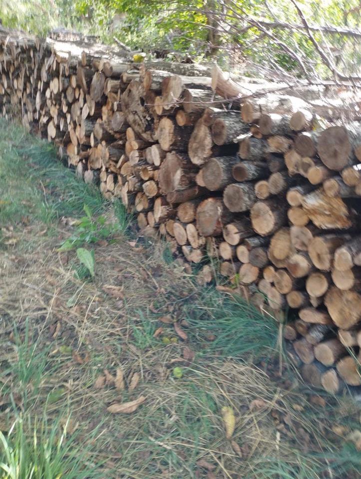 SHITEN-DRUT-