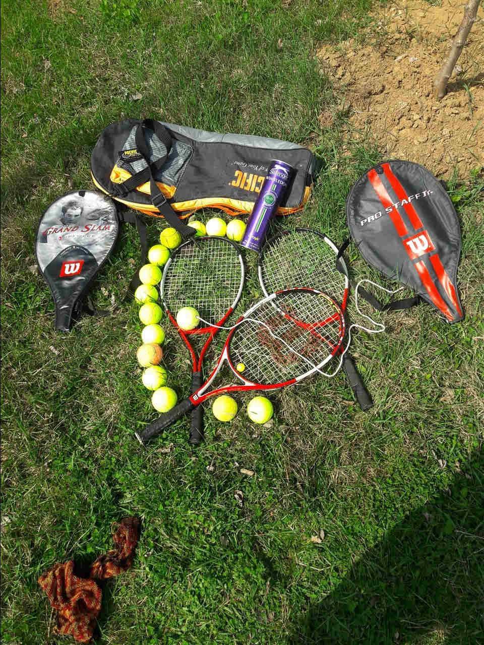 Tenis