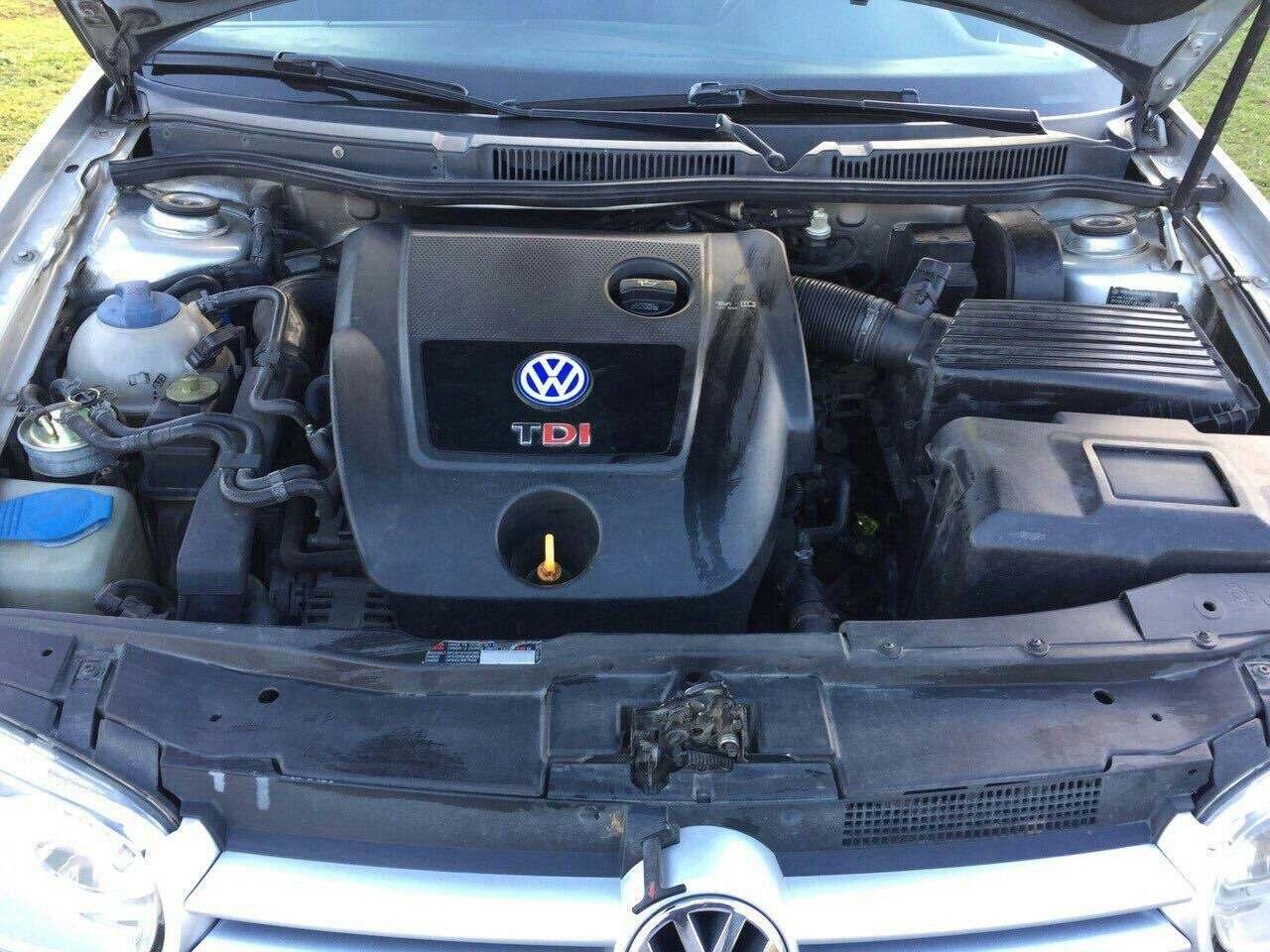 Shitet