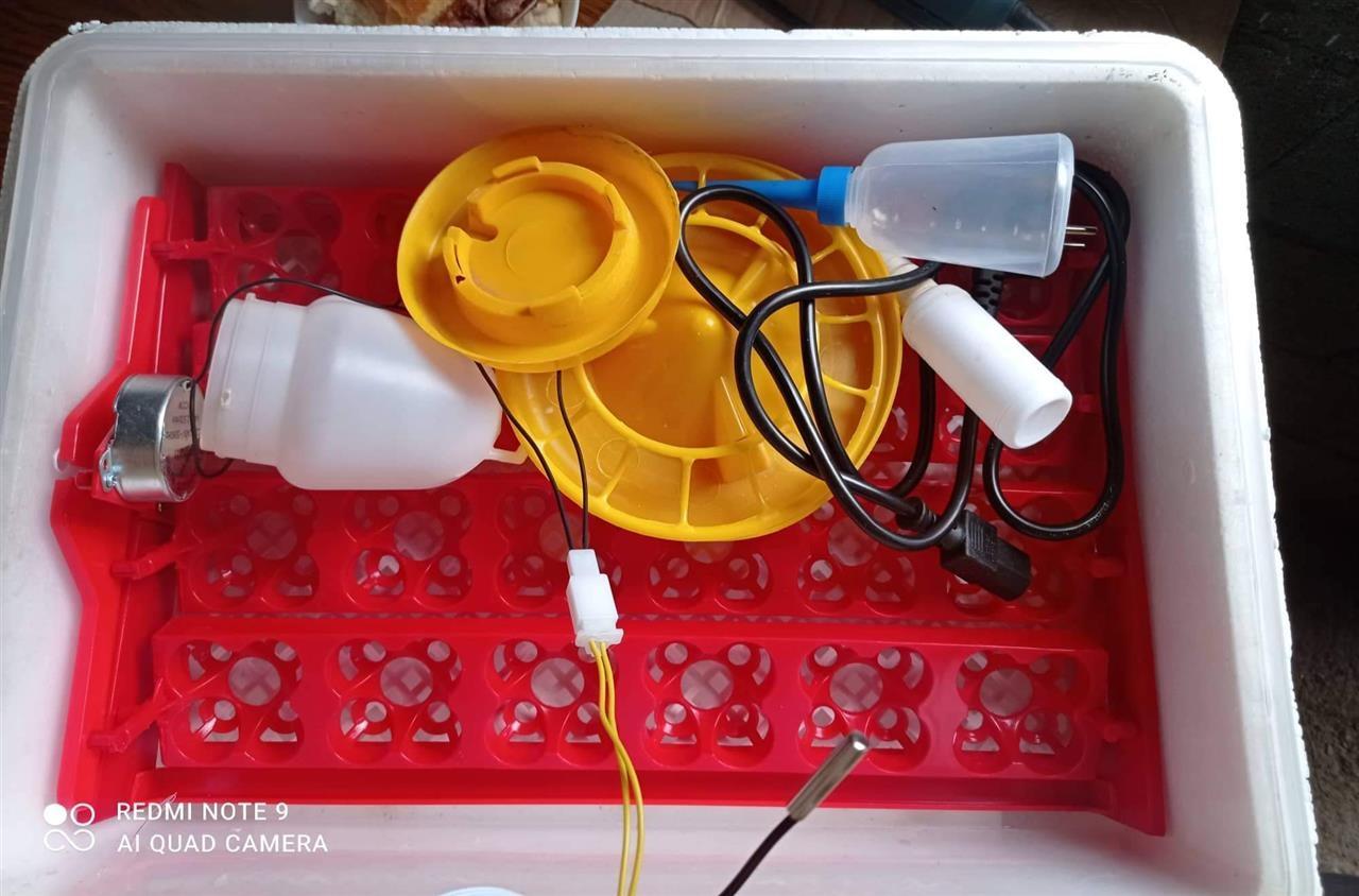 Inkubator-