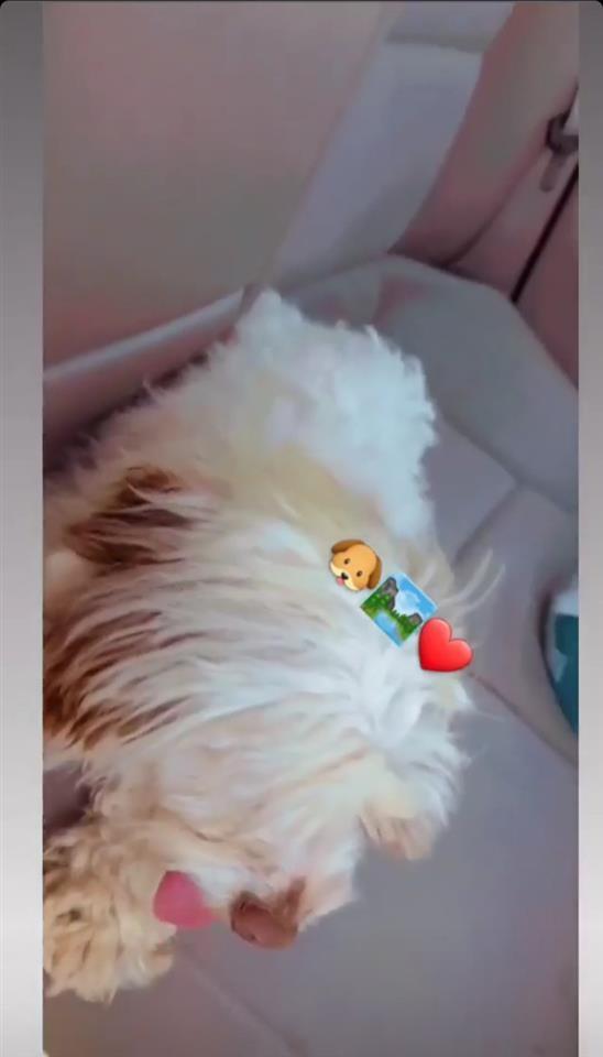 Pluto