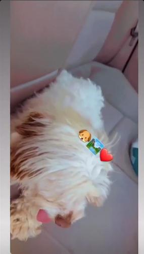 Pluto