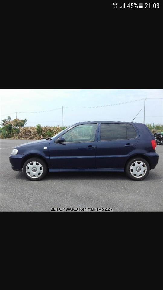 Shes-polo