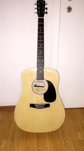 Gitare akustike