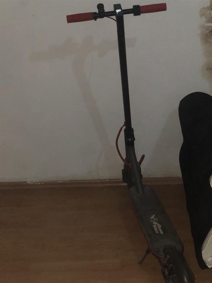 Shitja