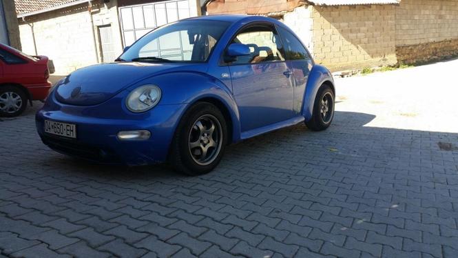 Bettle