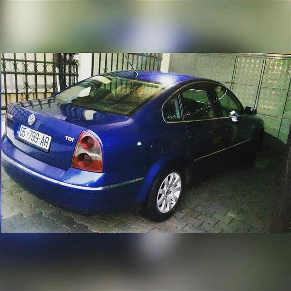 Passat-4--