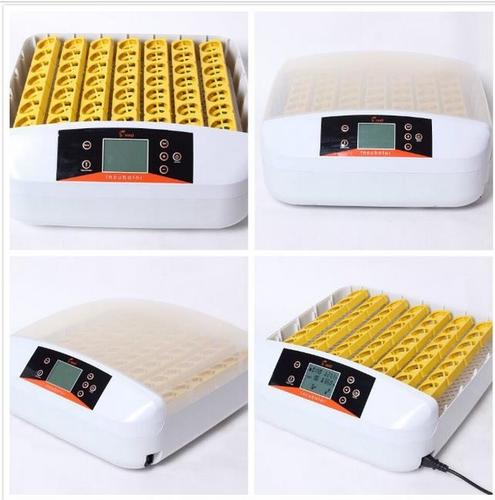 inkubator