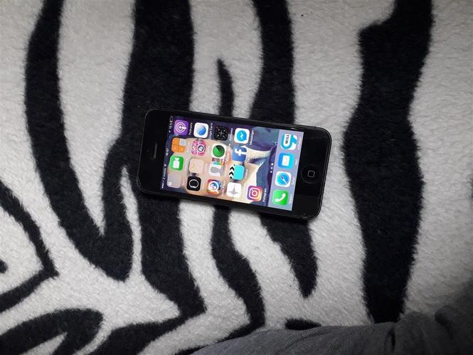 iPhone 5 
