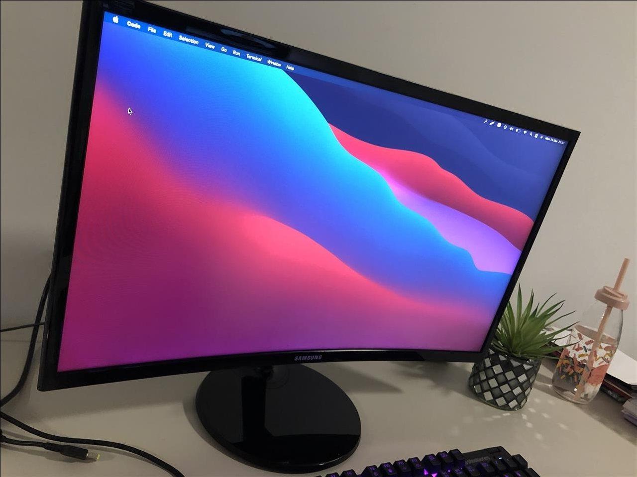 Monitor