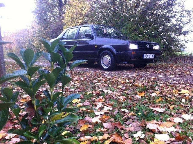 Jetta