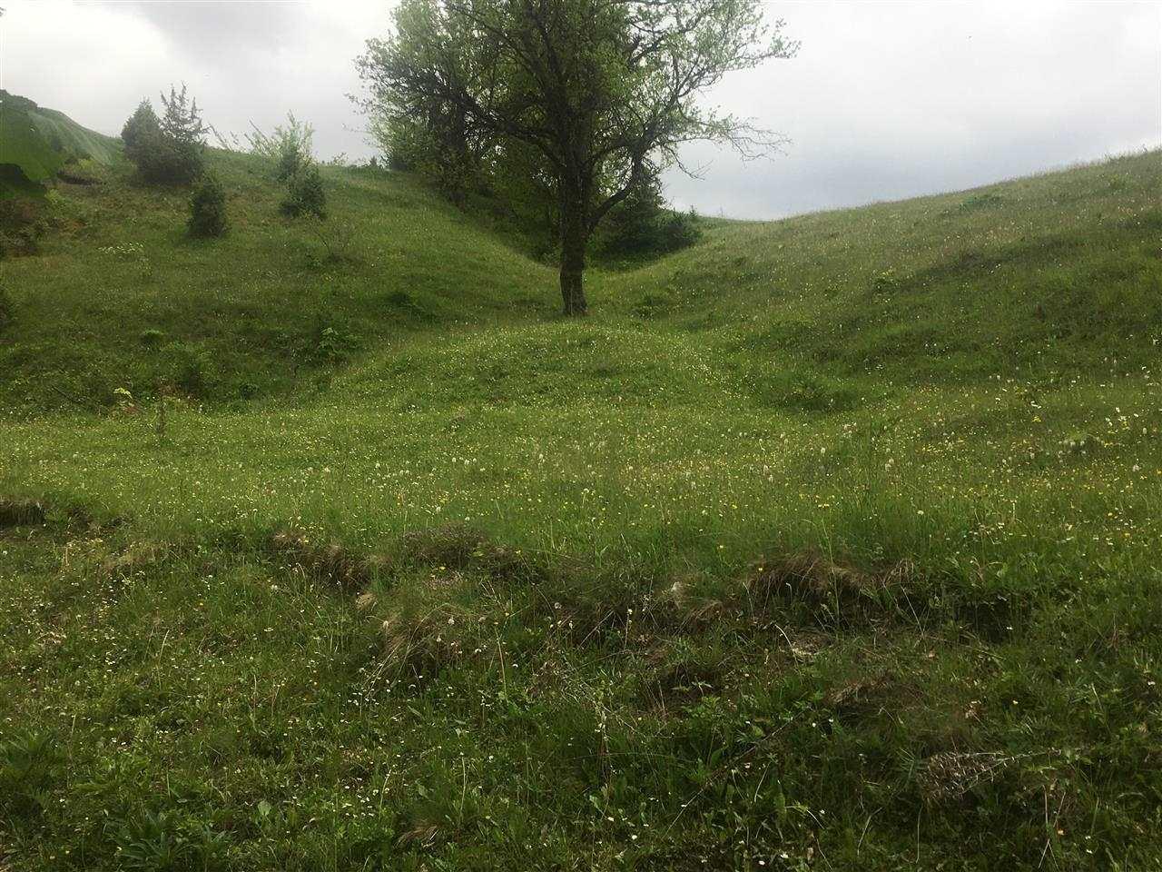 Drelaj-