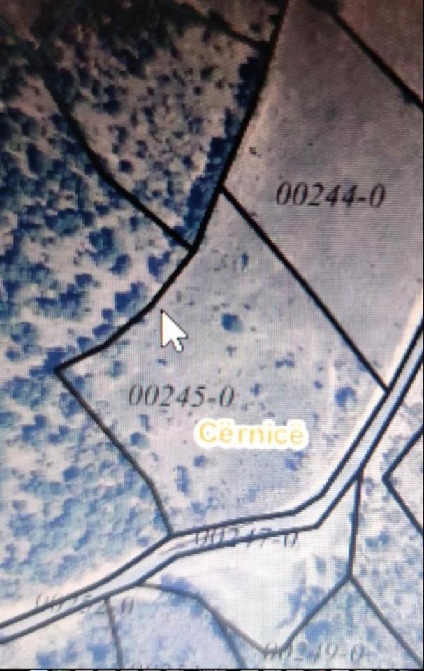 Trualli-ne-Shitje-Gjilan-Gumnisht