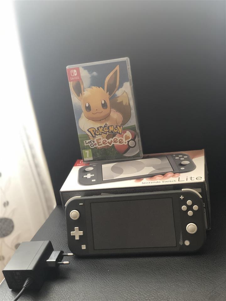 Nintendo-switch-lite