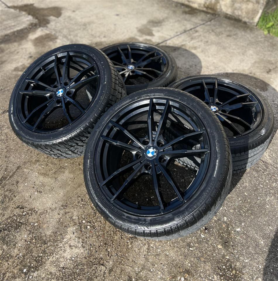 Fellne-per-BMW