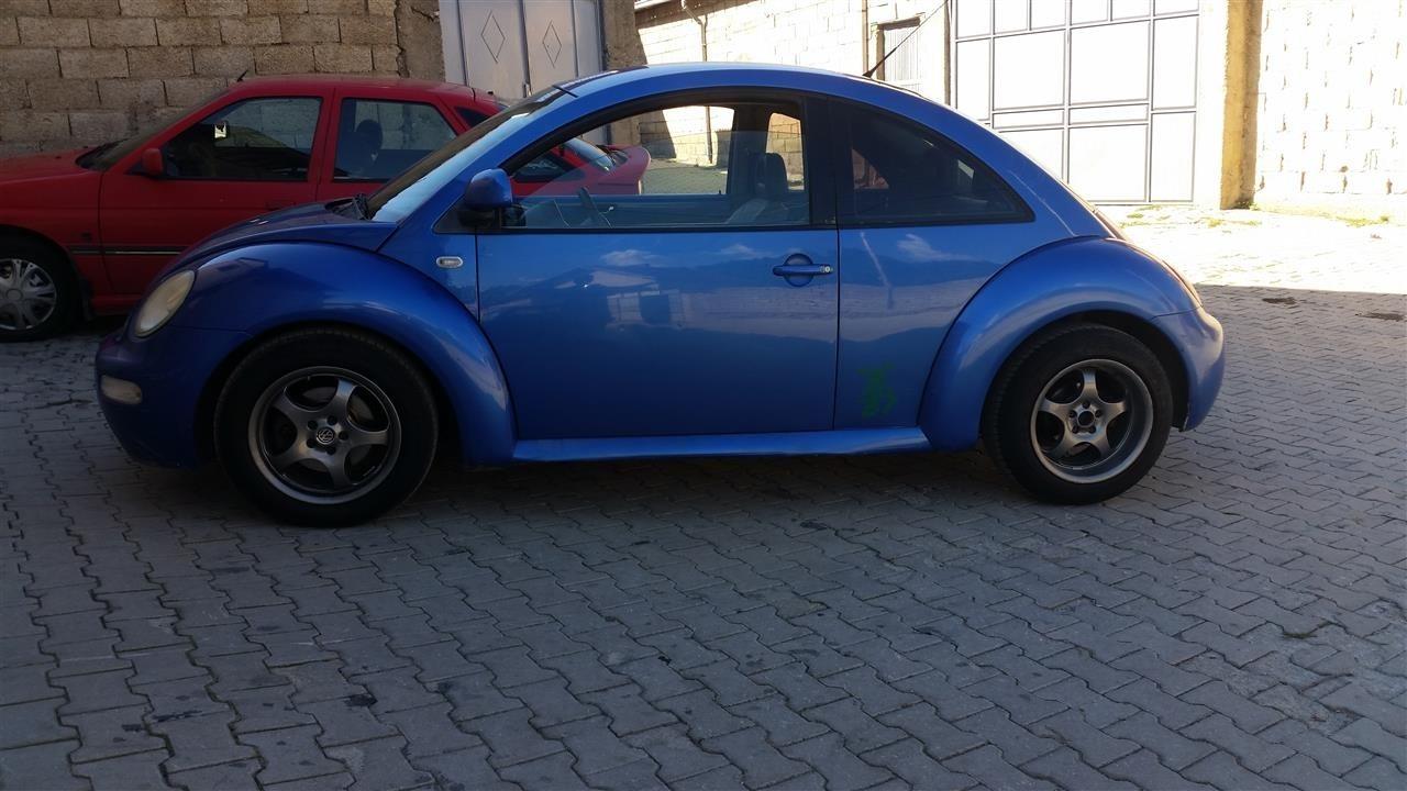 Beetle