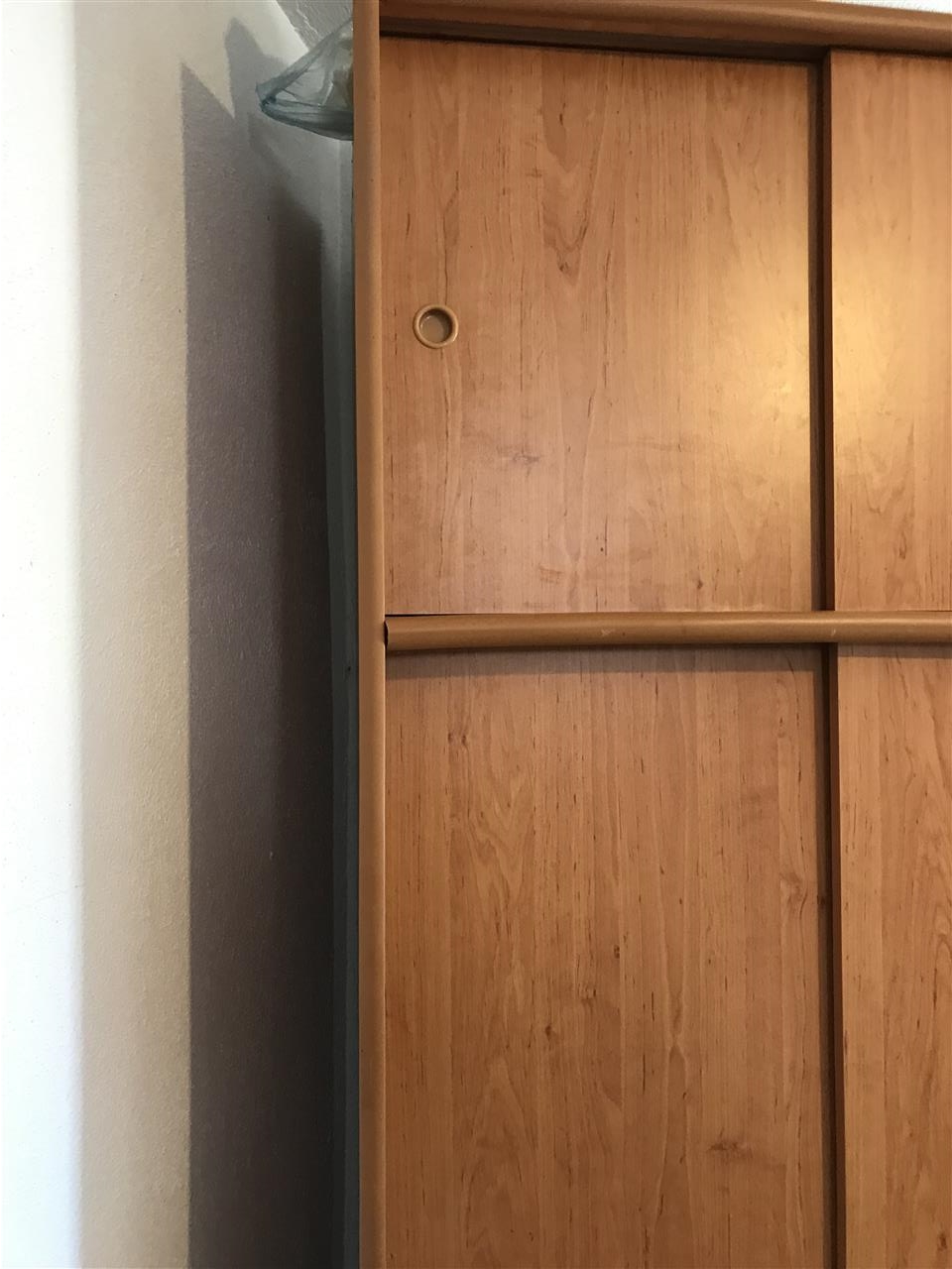 Orman-