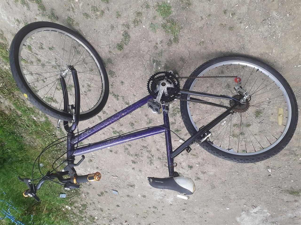Shitet