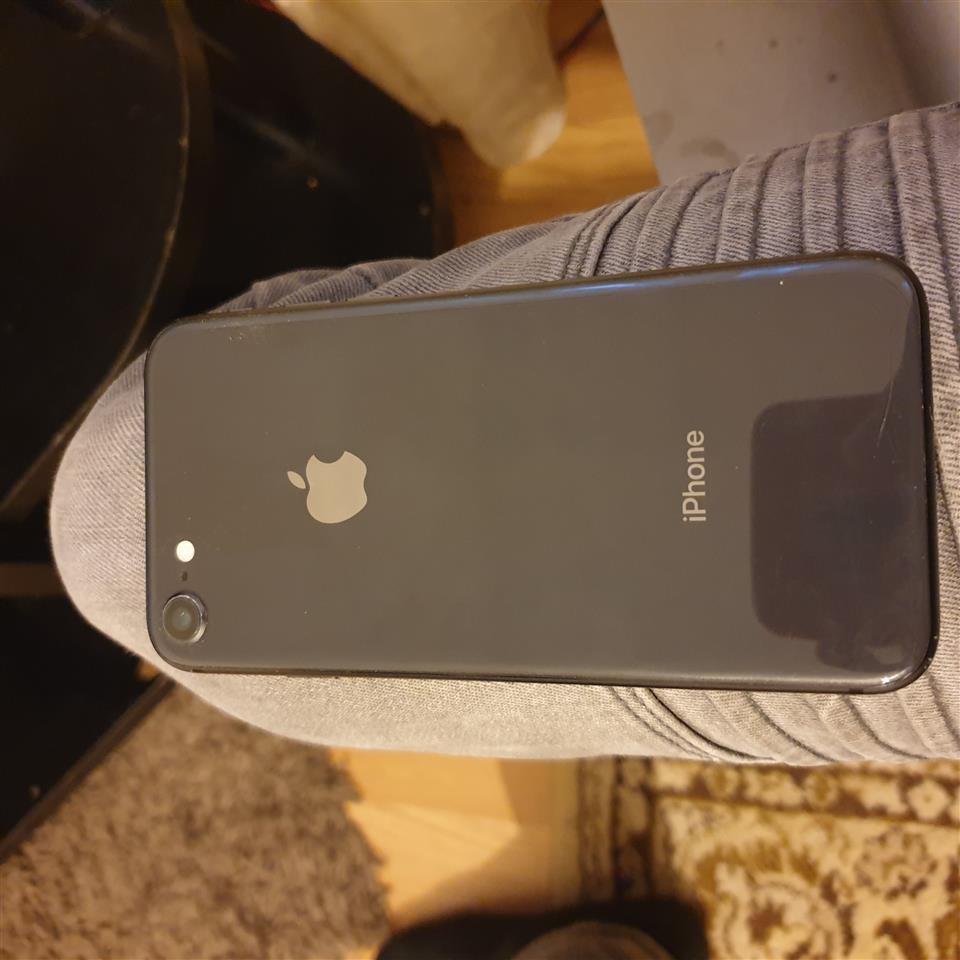 Shitet-iPhone-8