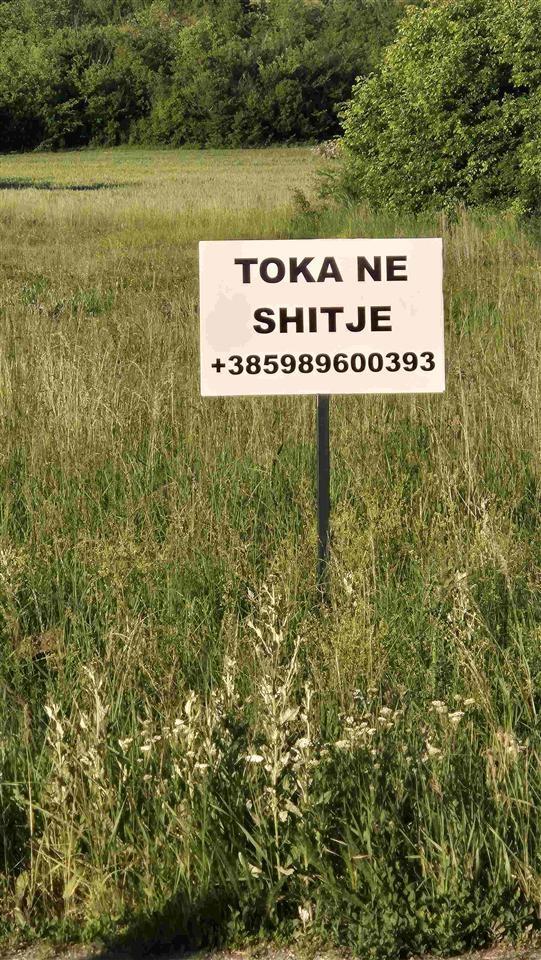 Shitje