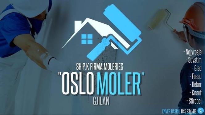 Moler oslo moler
